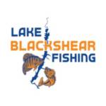 Lake Blackshear Fishing profile picture