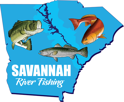 Bass Fishing in Savannah River