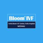IVF Bloom profile picture