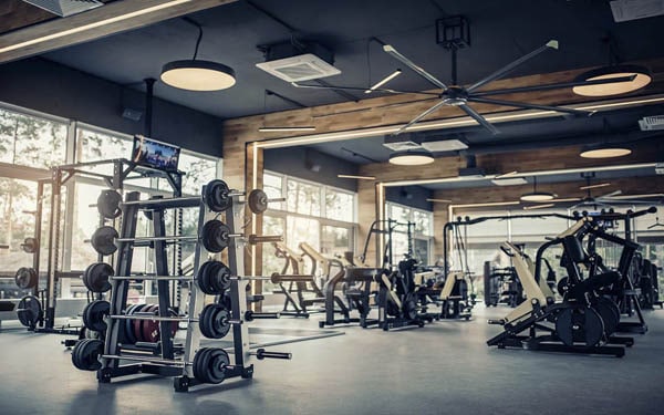 Gyms in Sharjah - Compare : Prices, Hours, Reviews & Classes