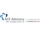 ACE Advisory profile picture